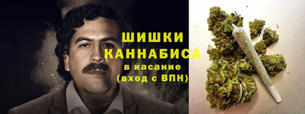 ГАЛЛЮЦИНОГЕННЫЕ ГРИБЫ Каменск-Шахтинский
