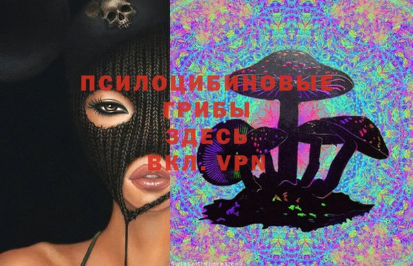 mdpv Каменногорск