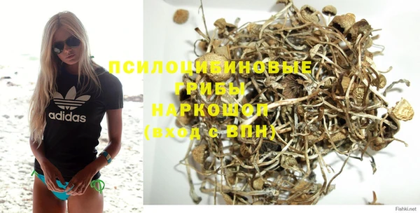 наркотики Каменка