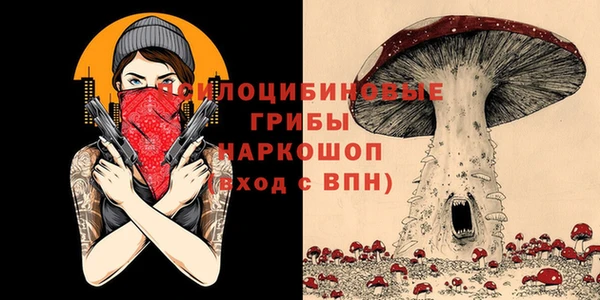 наркотики Каменка
