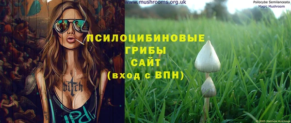 ГАЛЛЮЦИНОГЕННЫЕ ГРИБЫ Каменск-Шахтинский